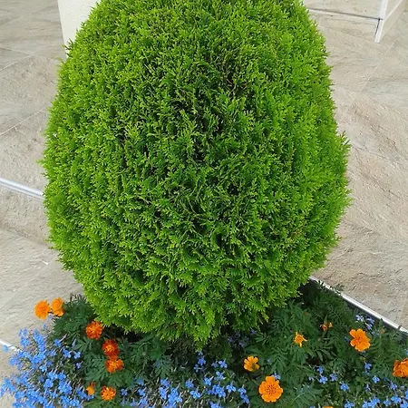 сезони 3