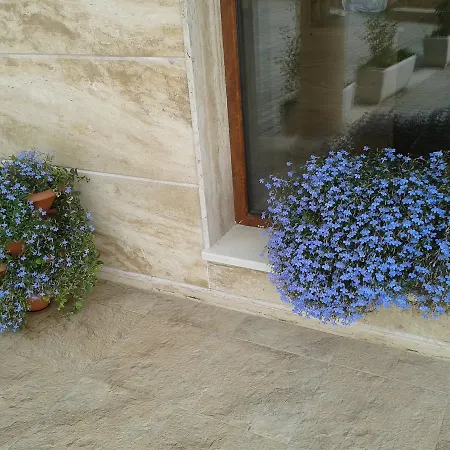 Seasons 3 2* 써니비치