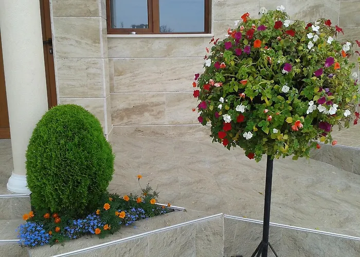 Seasons 3 2* ساني بيتش