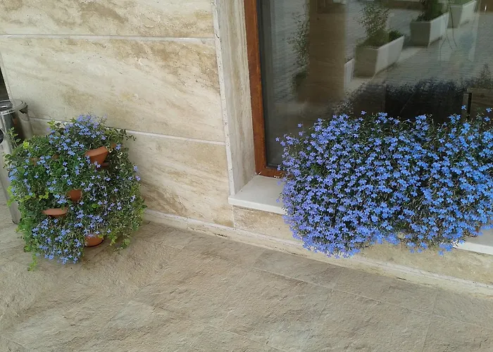 Seasons 3 2* Sunny Beach