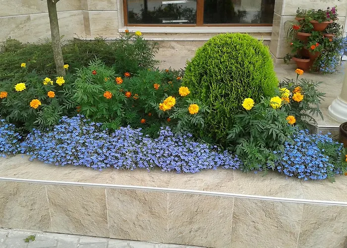 Seasons 3 ساني بيتش